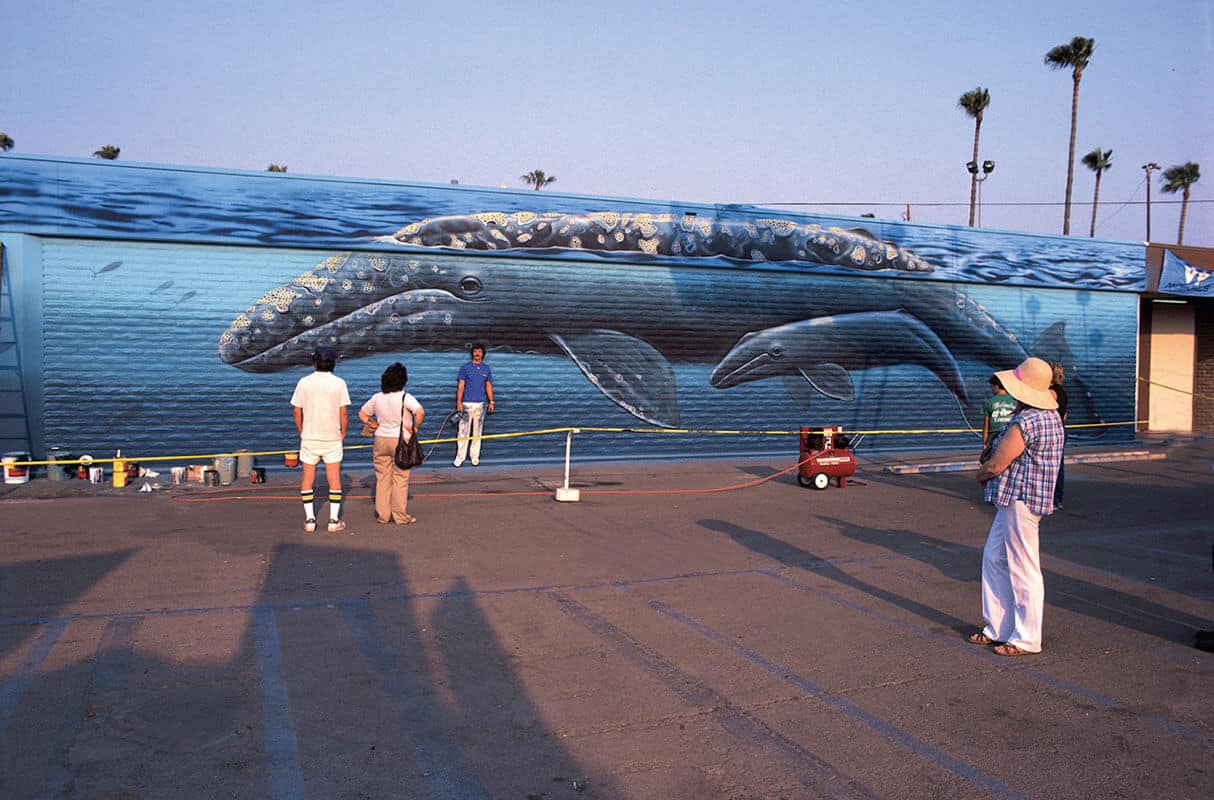 Whaling Wall 7 California Gray Whales