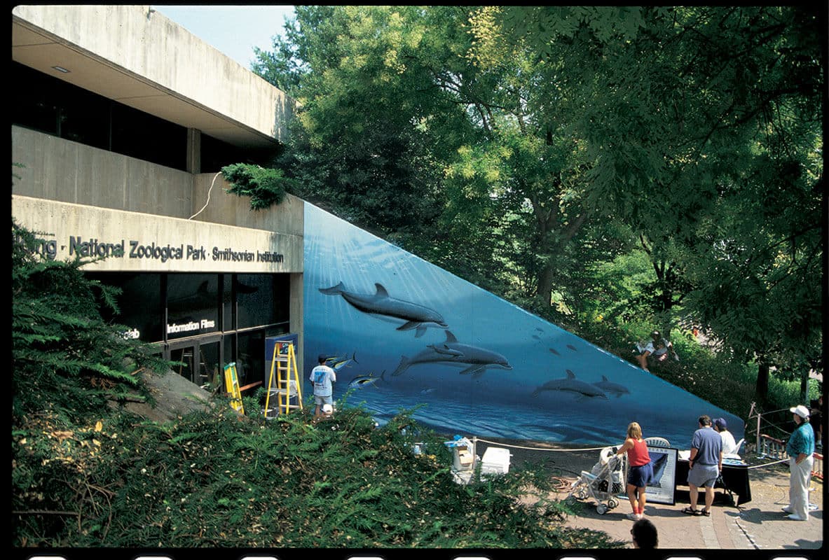 Washington, D.C. Wyland Whaling Wall 45