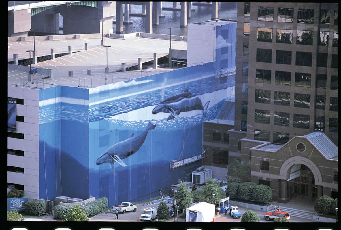 Norfolk, Virginia Wyland Whaling Wall 47