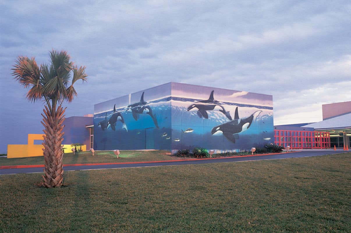 History of the South Padre Island, Texas Wyland Whaling Wall 53