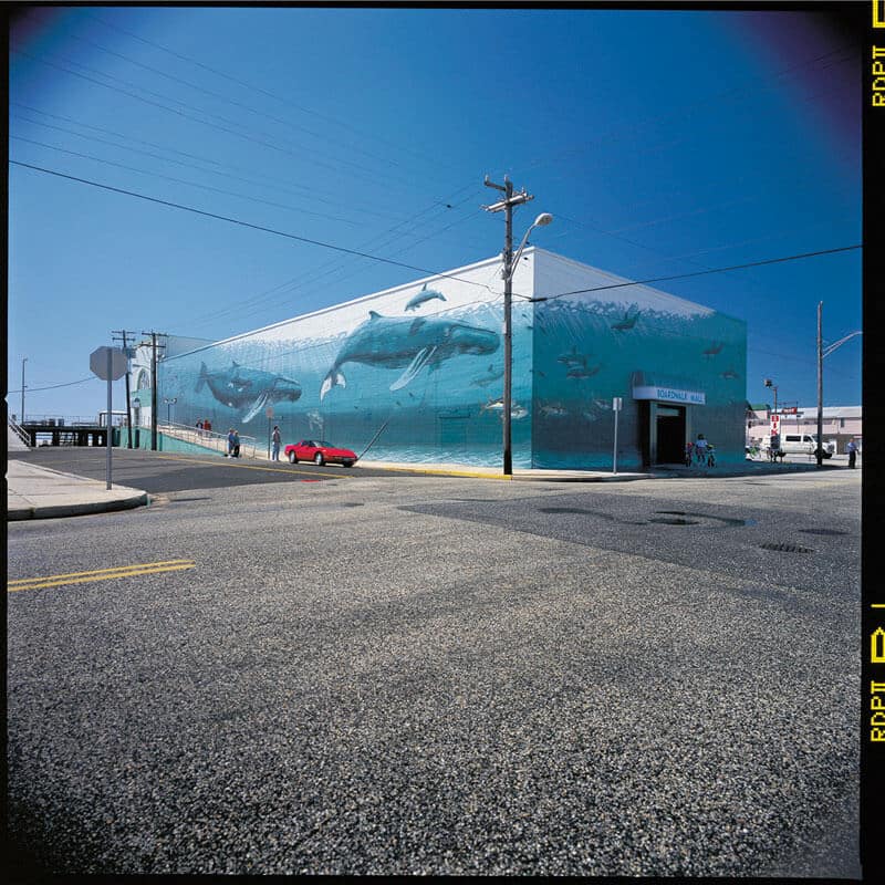 Wildwood, New Jersey Wyland Whaling Wall 43