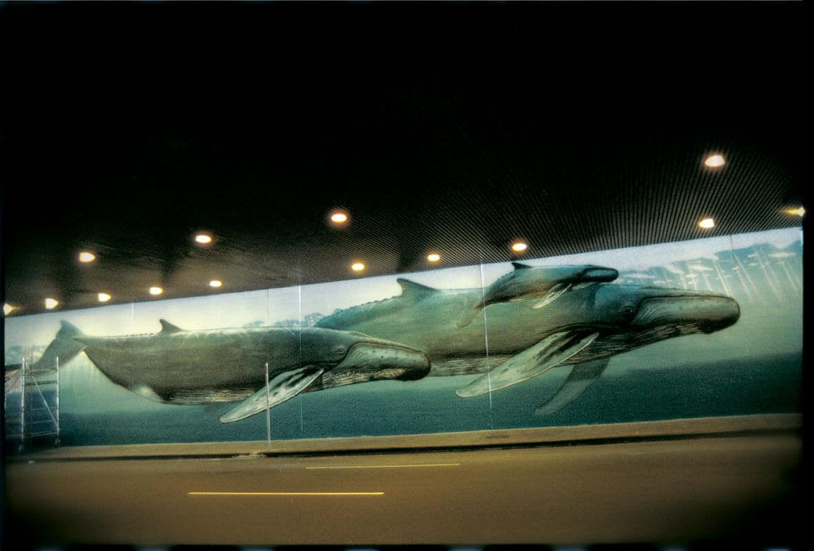 New York, New York Wyland Whaling Wall 40