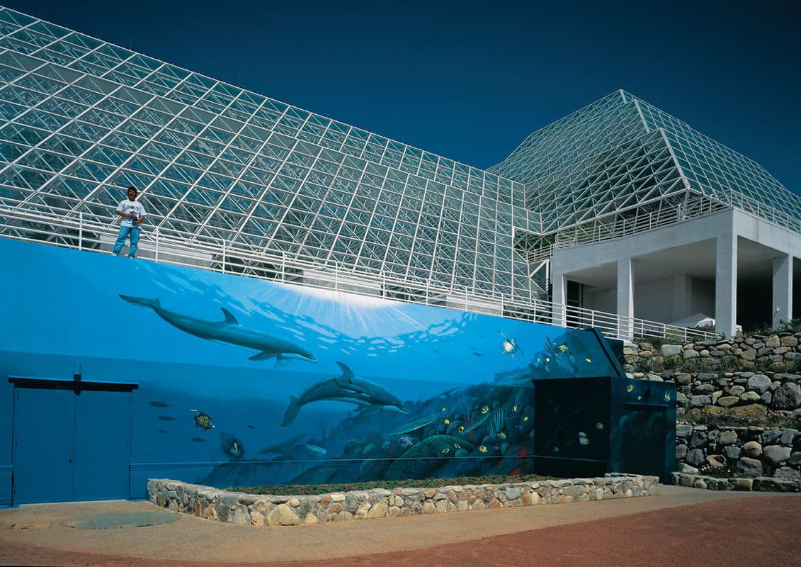 Oracle, Arizona Wyland Whaling Wall 34