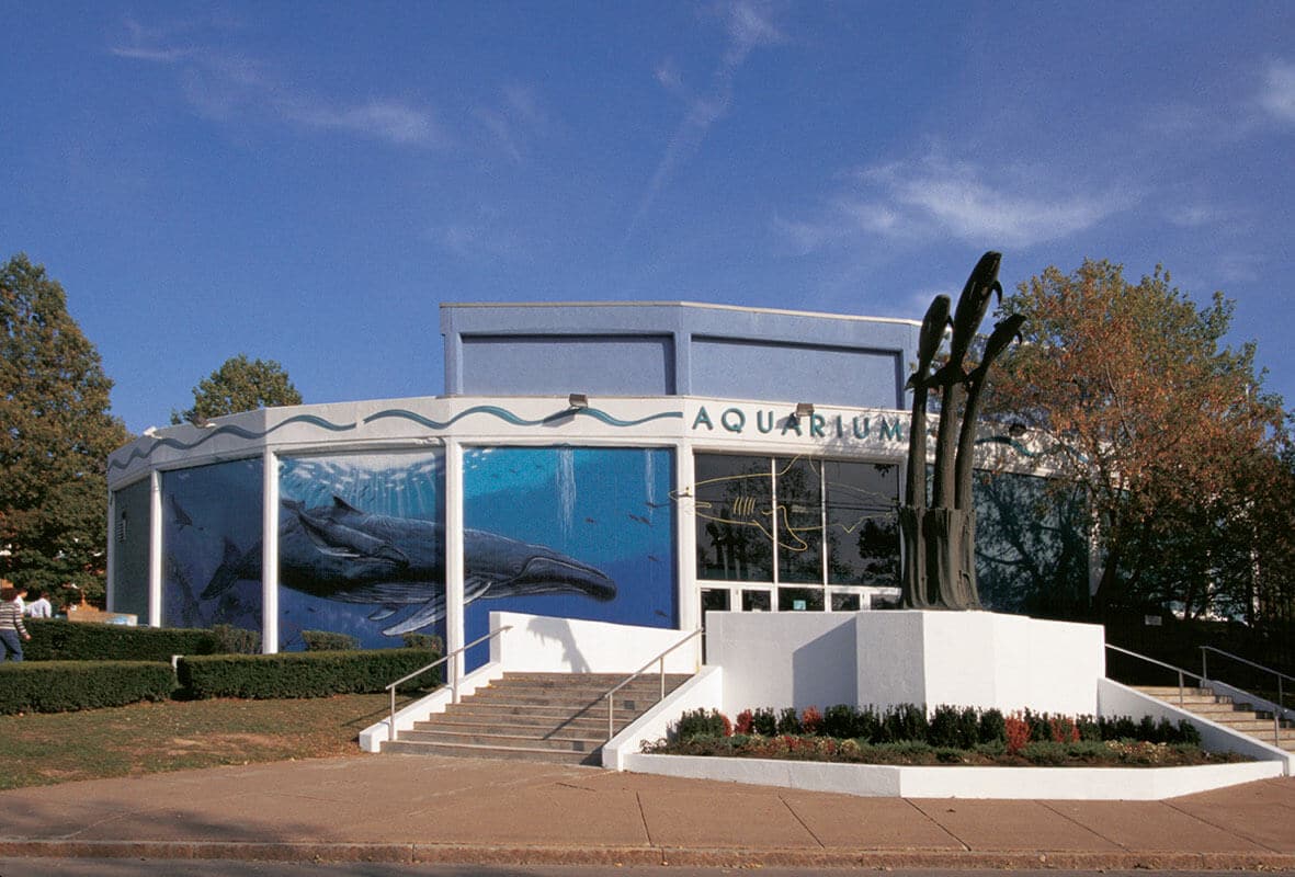 Niagara Falls, NY Wyland Whaling Wall 81