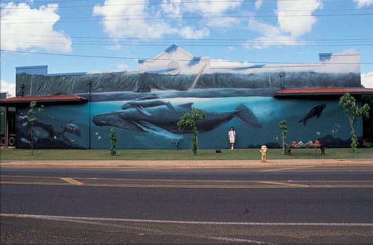 Public Mural restoration